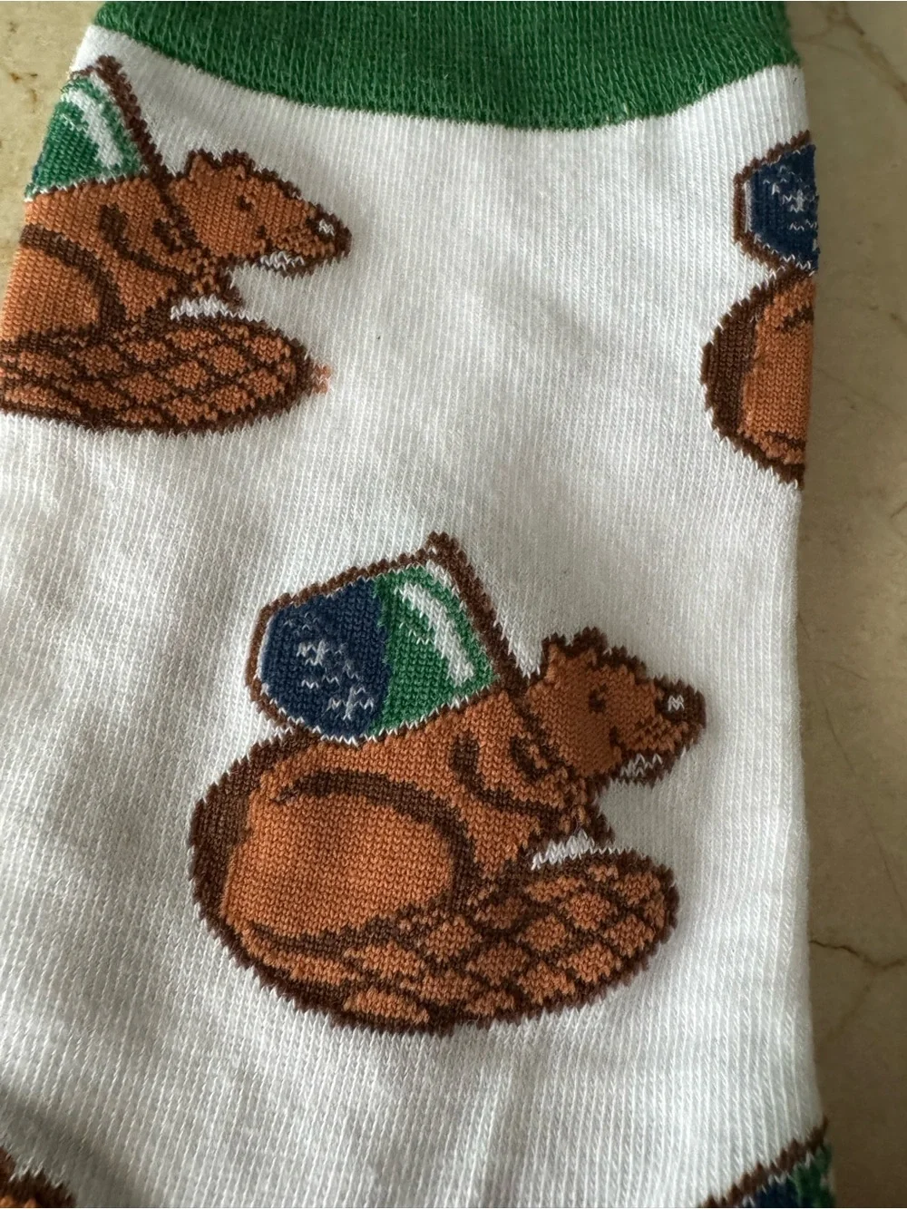 Collegiate Socks NEW 2 pack Champlain College Beaver & RIT Tiger